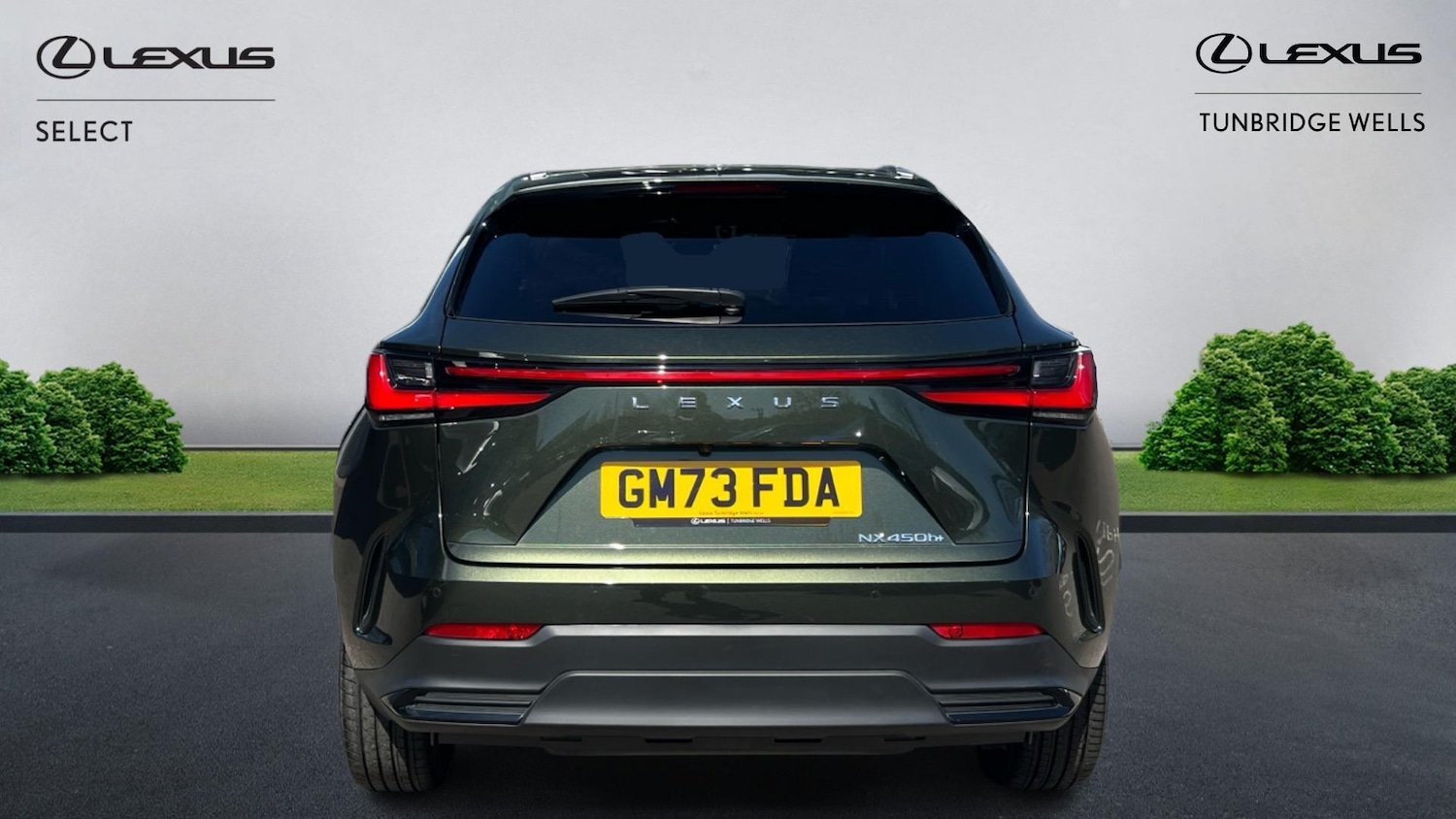 Used Lexus NX 2024 for sale - 78185225: Photo 5