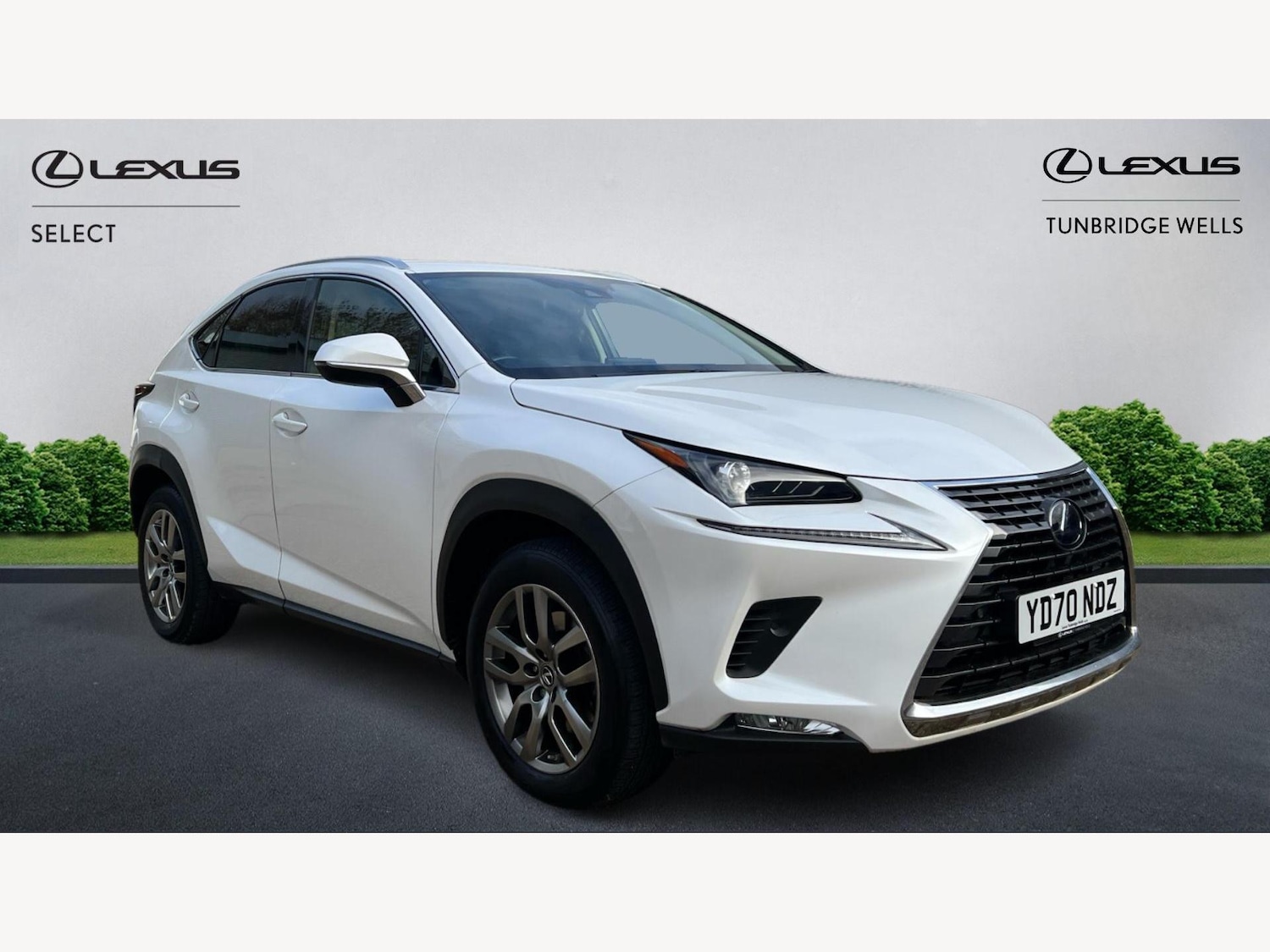 Used Lexus NX 2020 for sale - 76942485: Photo 1