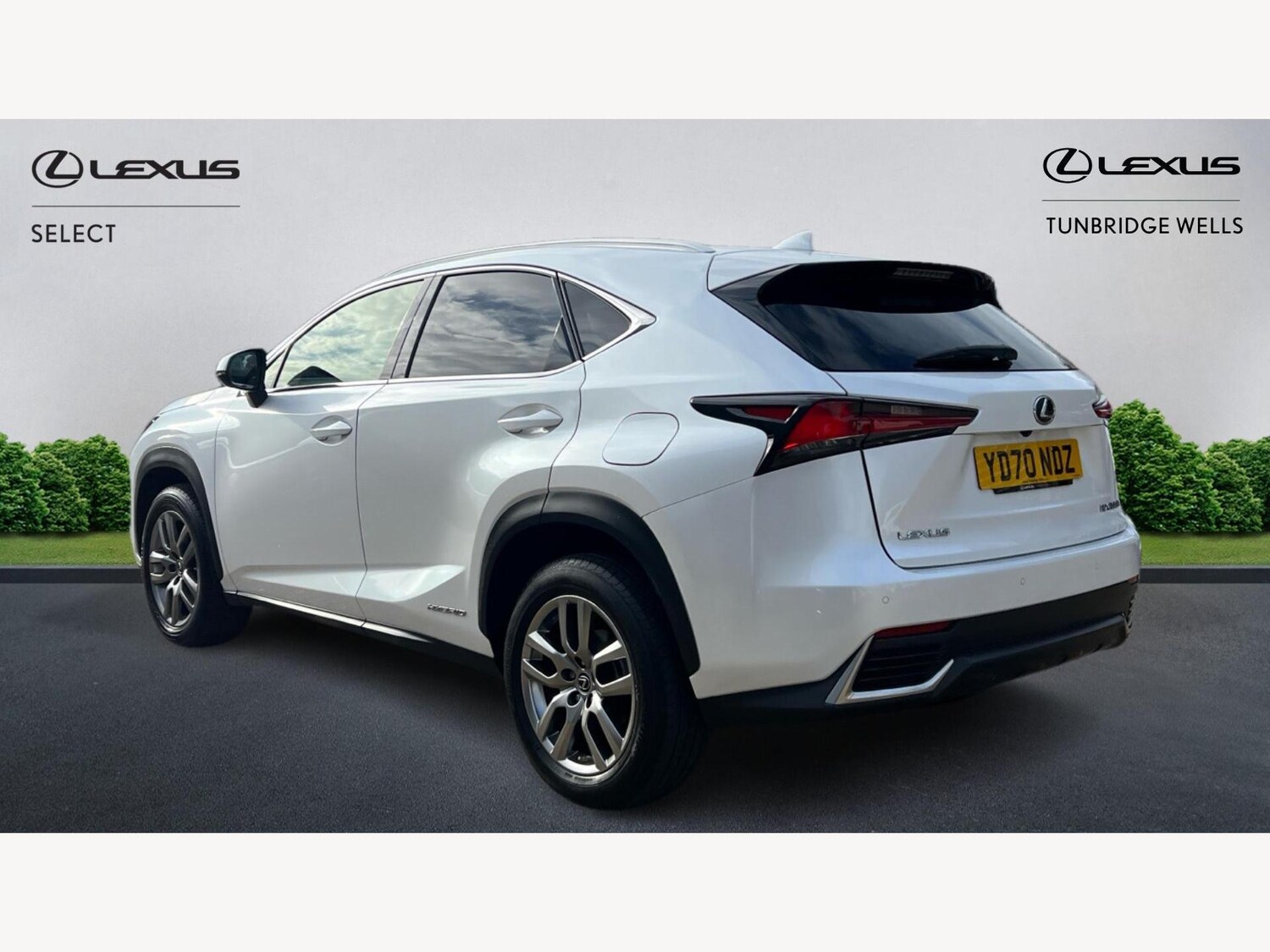 Used Lexus NX 2020 for sale - 76942485: Photo 2
