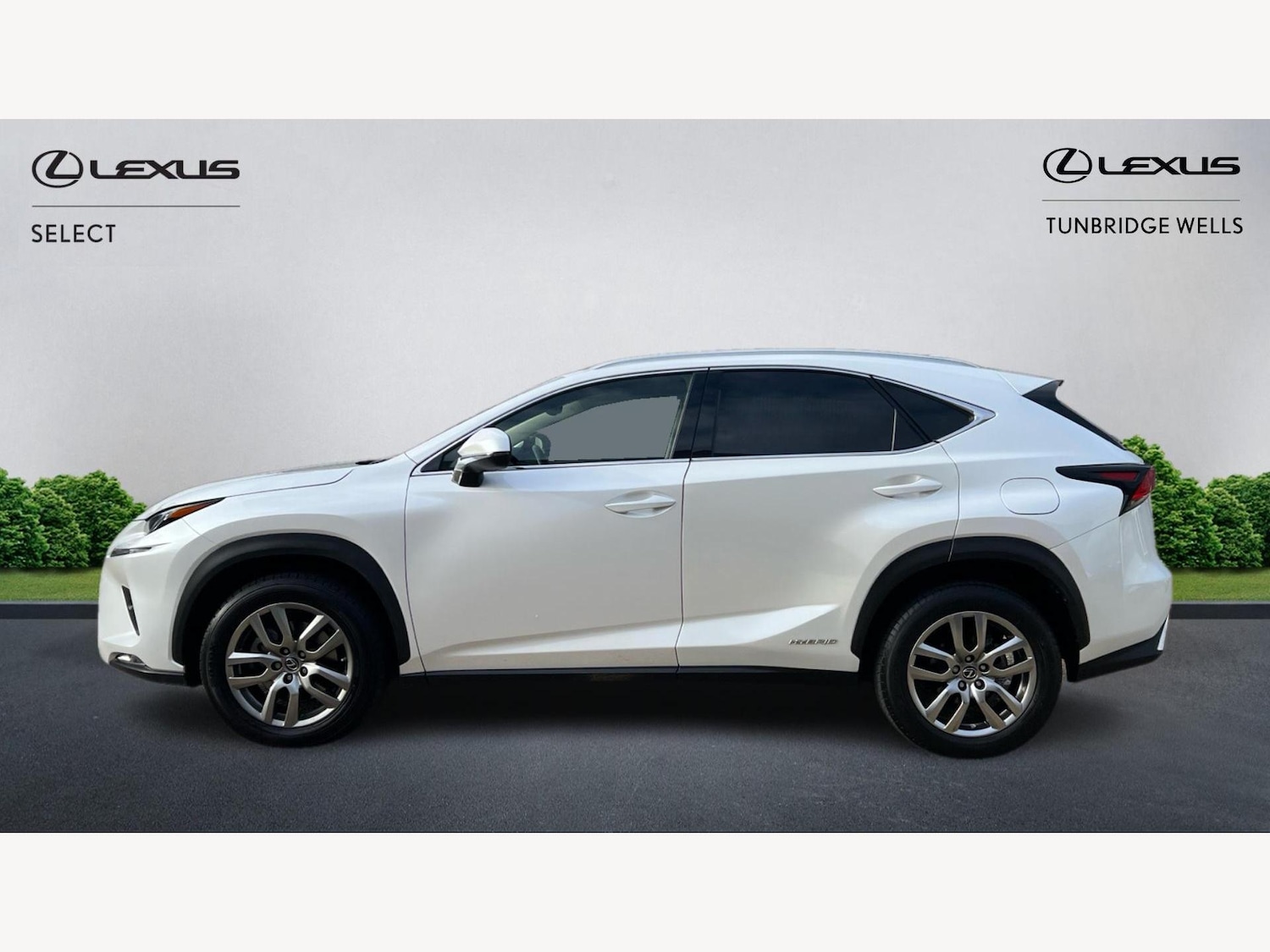 Used Lexus NX 2020 for sale - 76942485: Photo 3