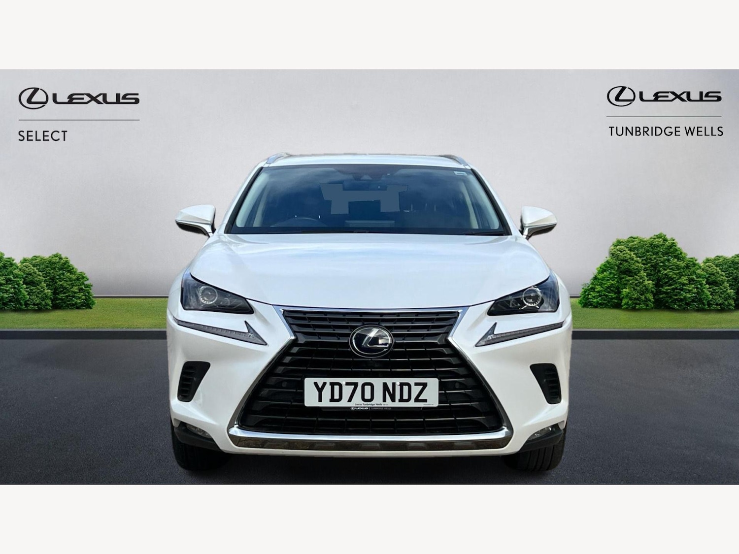 Used Lexus NX 2020 for sale - 76942485: Photo 6