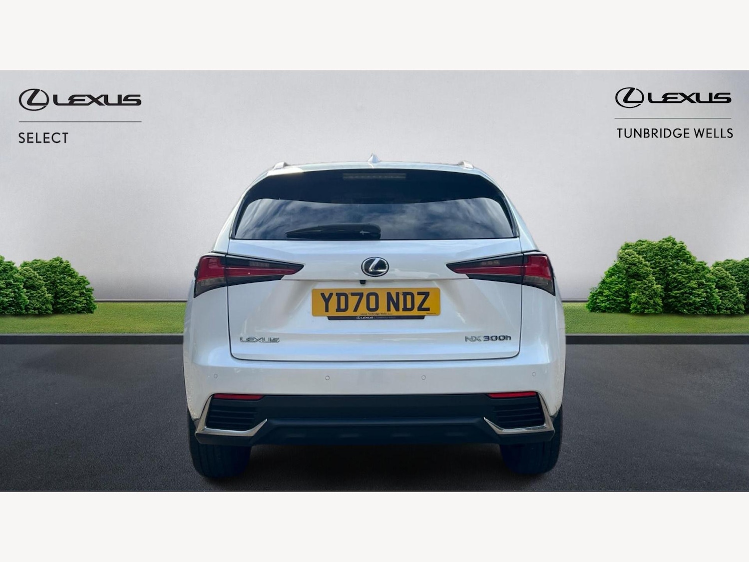 Used Lexus NX 2020 for sale - 76942485: Photo 7