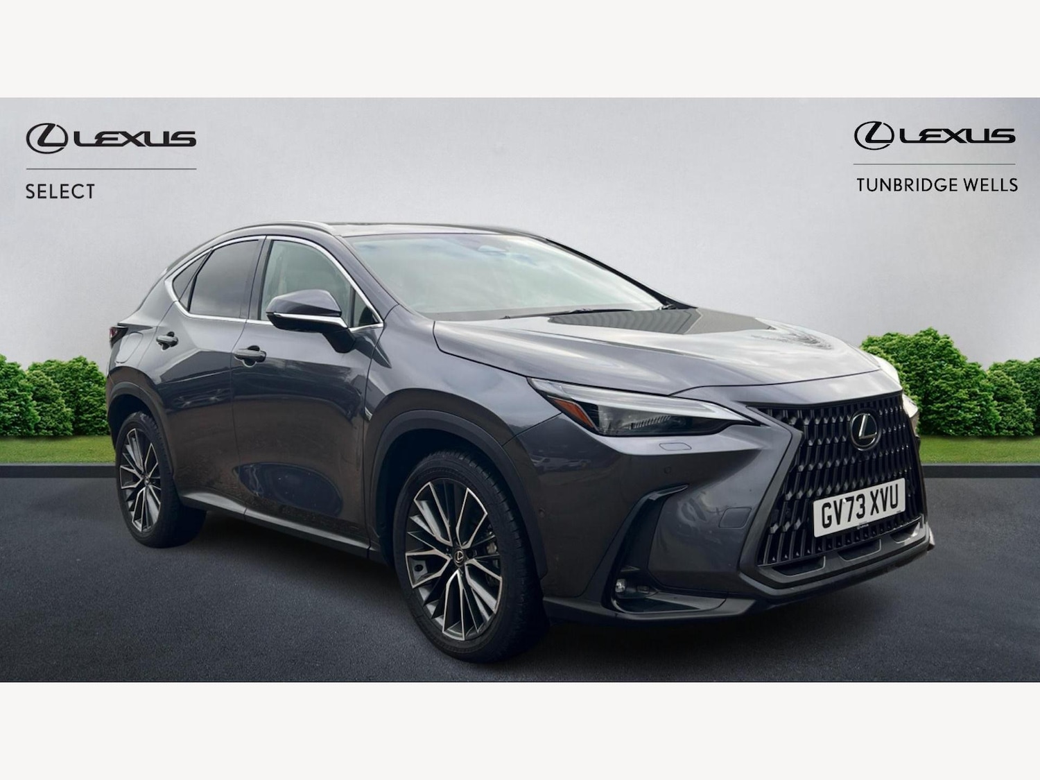 Used Lexus NX 2023 for sale - 77396288: Photo 1