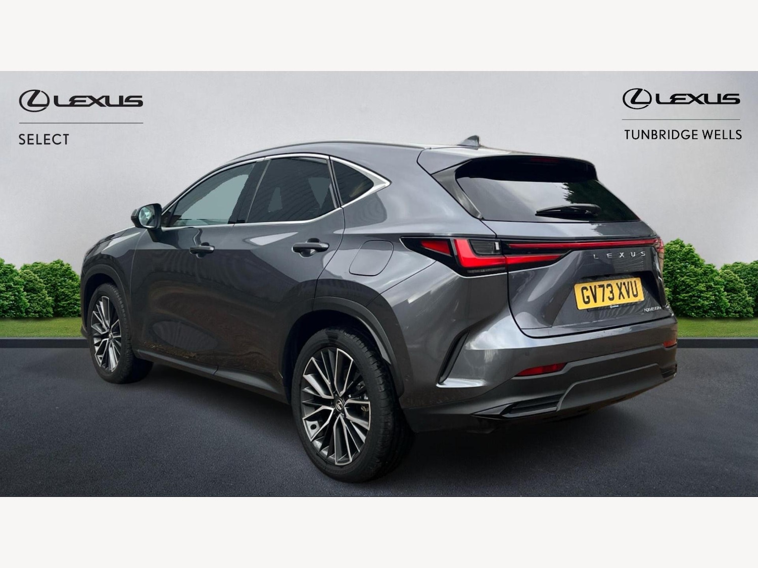 Used Lexus NX 2023 for sale - 77396288: Photo 2