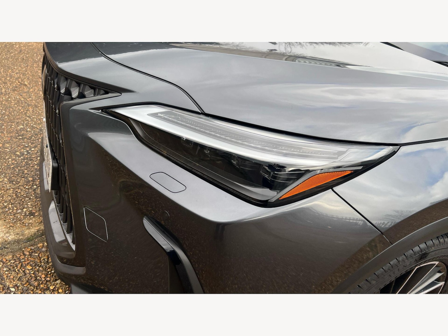 Used Lexus NX 2023 for sale - 77396288: Photo 22