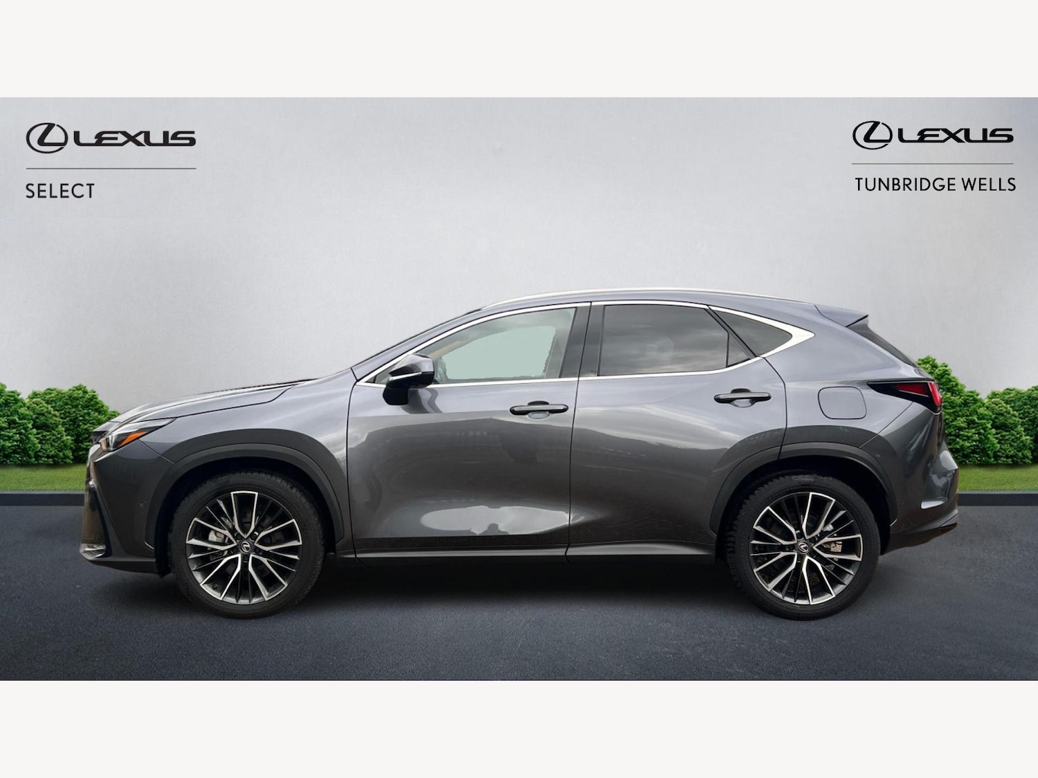 Used Lexus NX 2023 for sale - 77396288: Photo 3