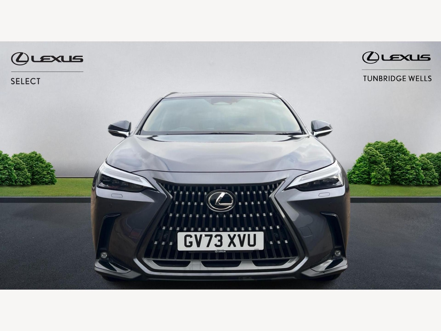 Used Lexus NX 2023 for sale - 77396288: Photo 6