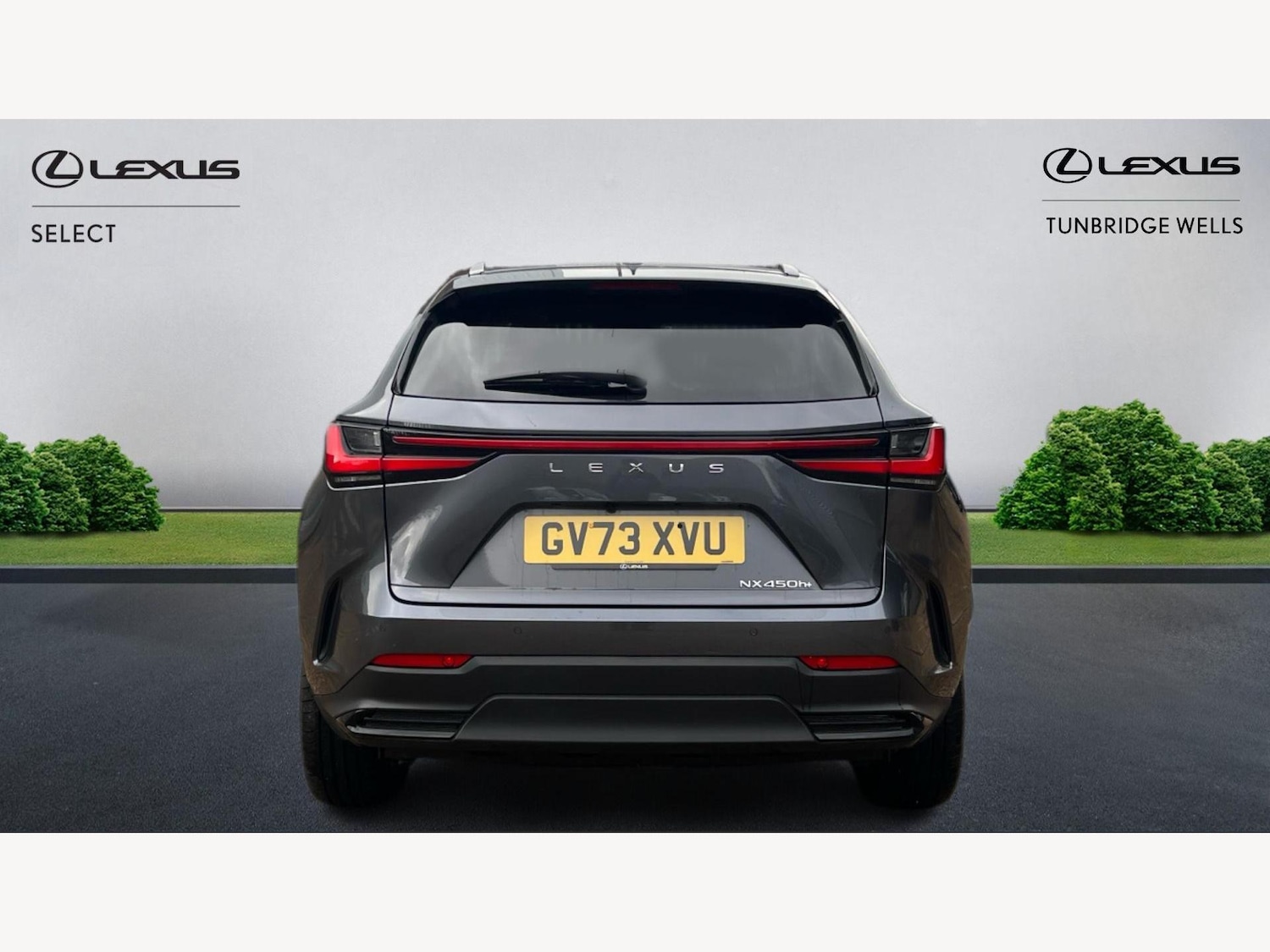 Used Lexus NX 2023 for sale - 77396288: Photo 7