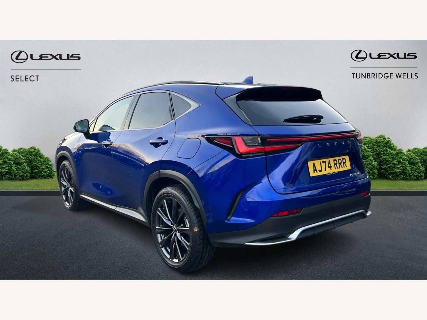 Used Lexus NX 2025 for sale - 76952835: Photo 2