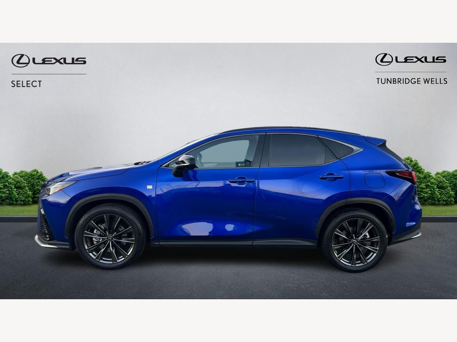 Used Lexus NX 2025 for sale - 76952835: Photo 3