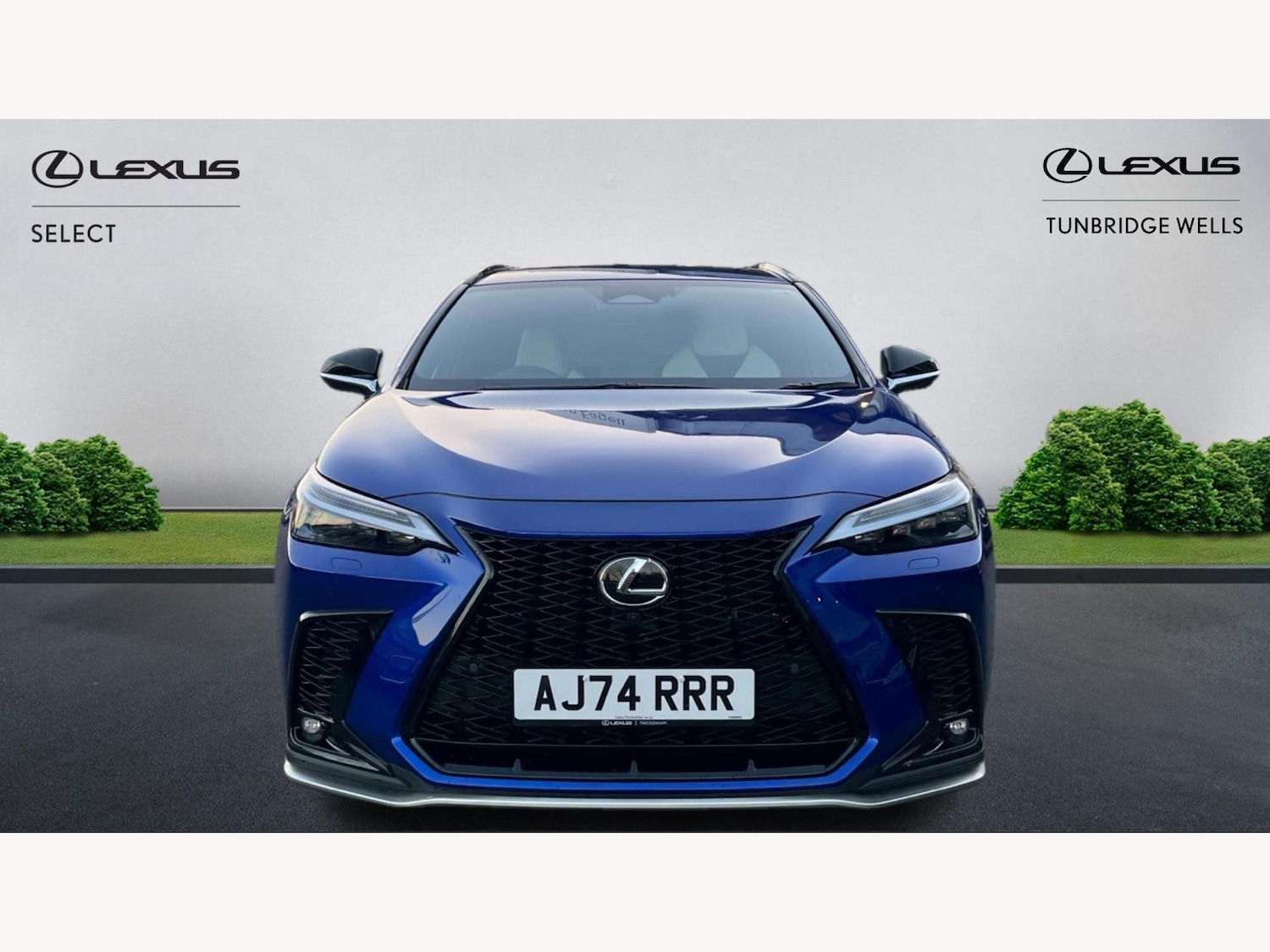 Used Lexus NX 2025 for sale - 76952835: Photo 6