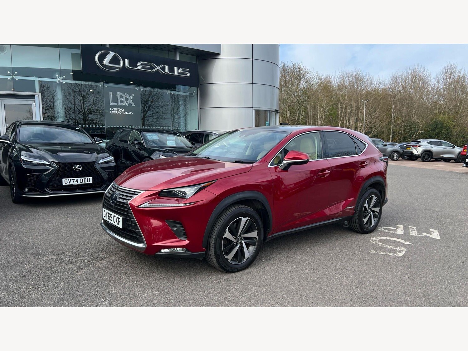 Used Lexus NX 2019 for sale - 78184640: Photo 19