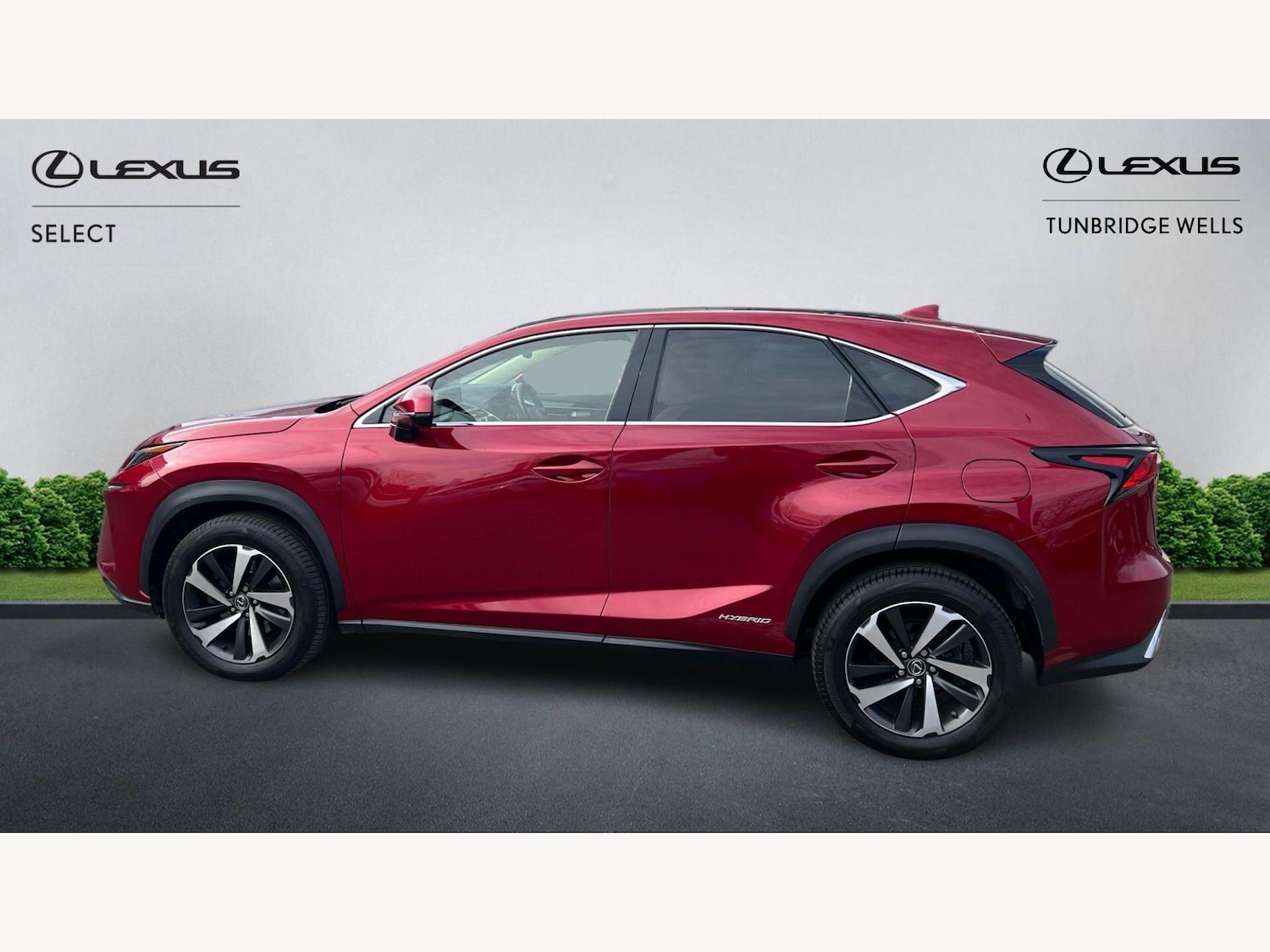 Used Lexus NX 2019 for sale - 78184640: Photo 5