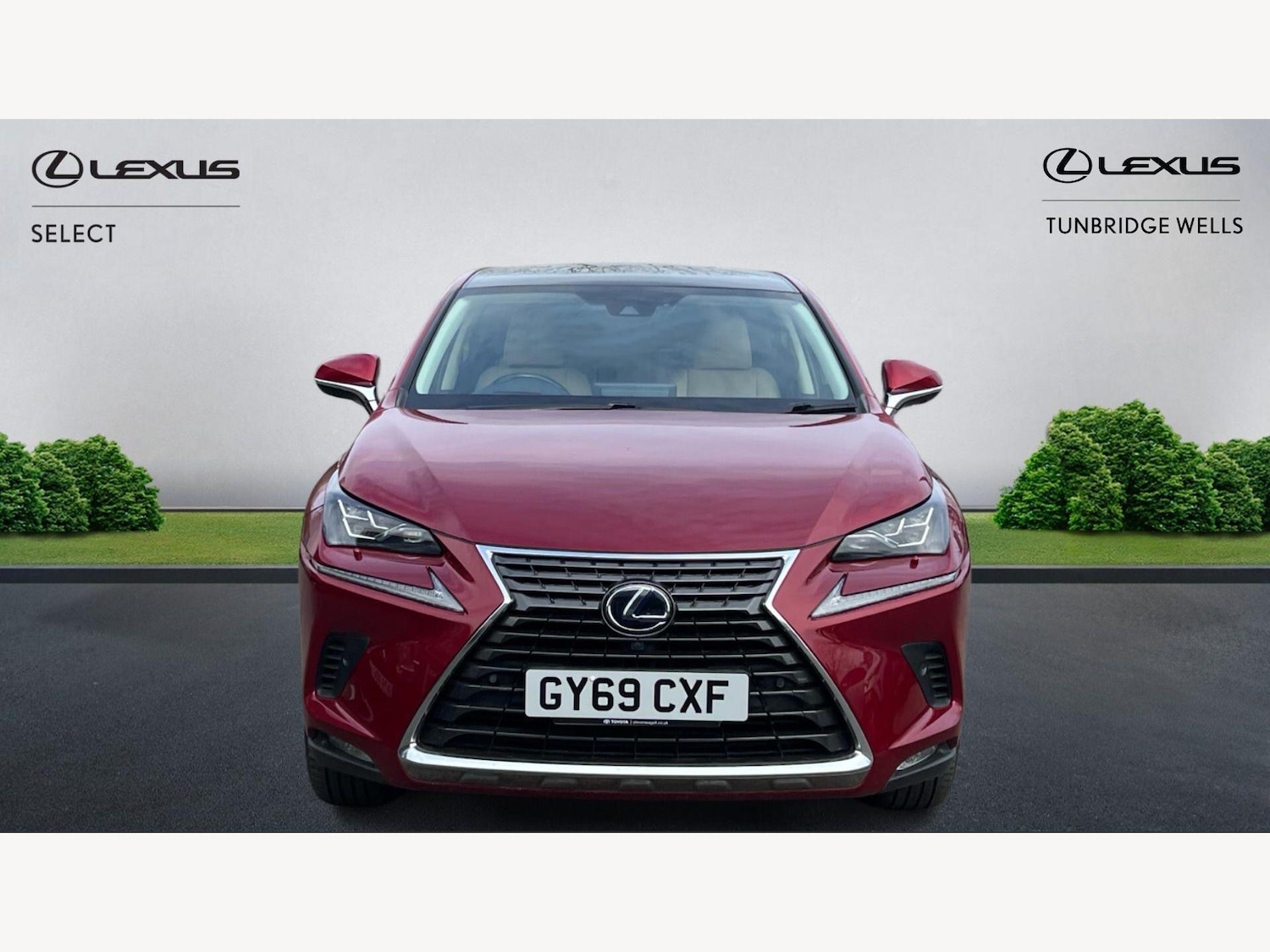 Used Lexus NX 2019 for sale - 78184640: Photo 6