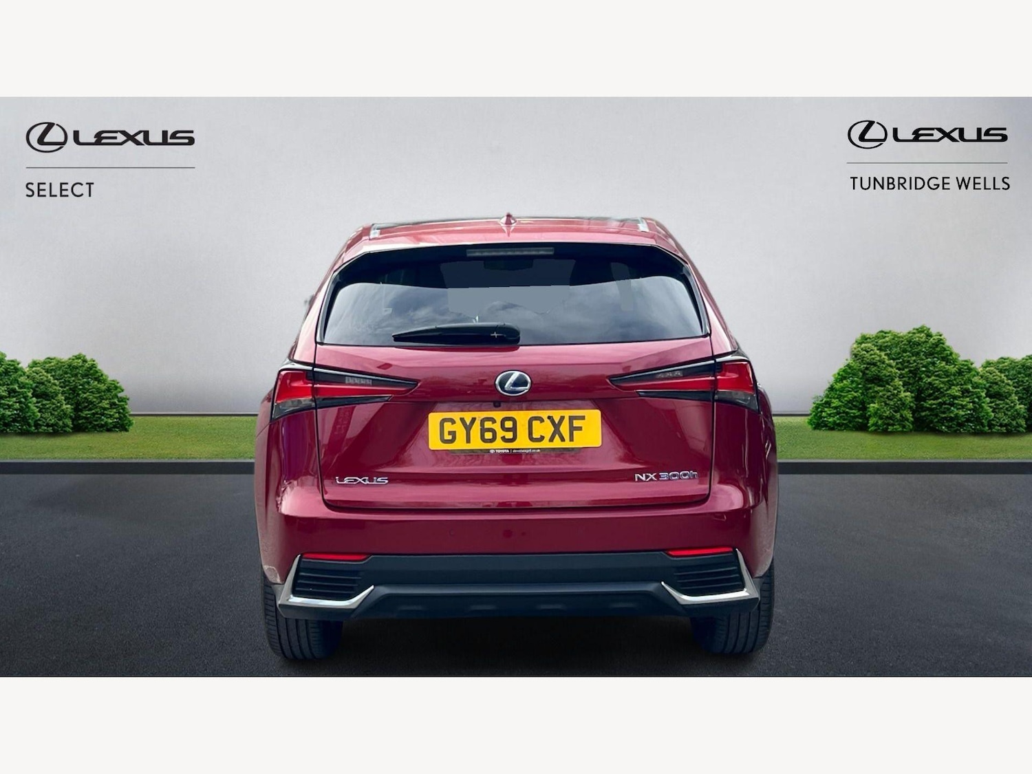 Used Lexus NX 2019 for sale - 78184640: Photo 7