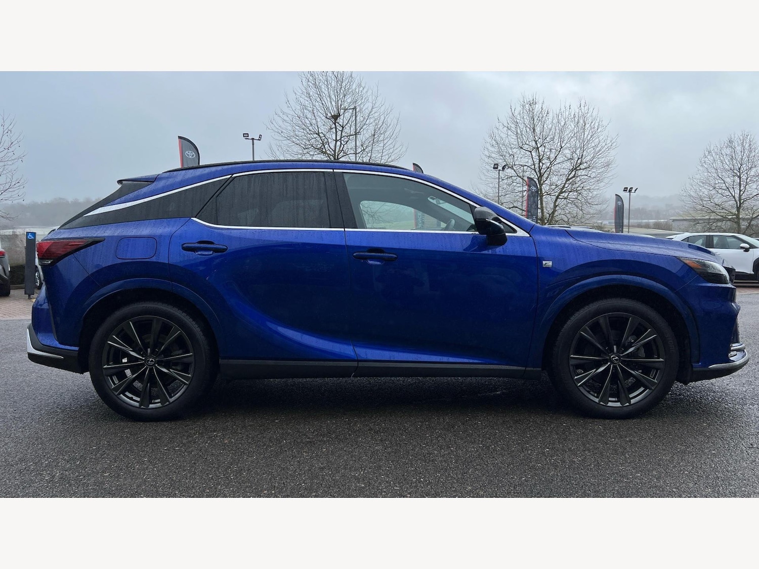 Used Lexus RX 2025 for sale - 77510807: Photo 18