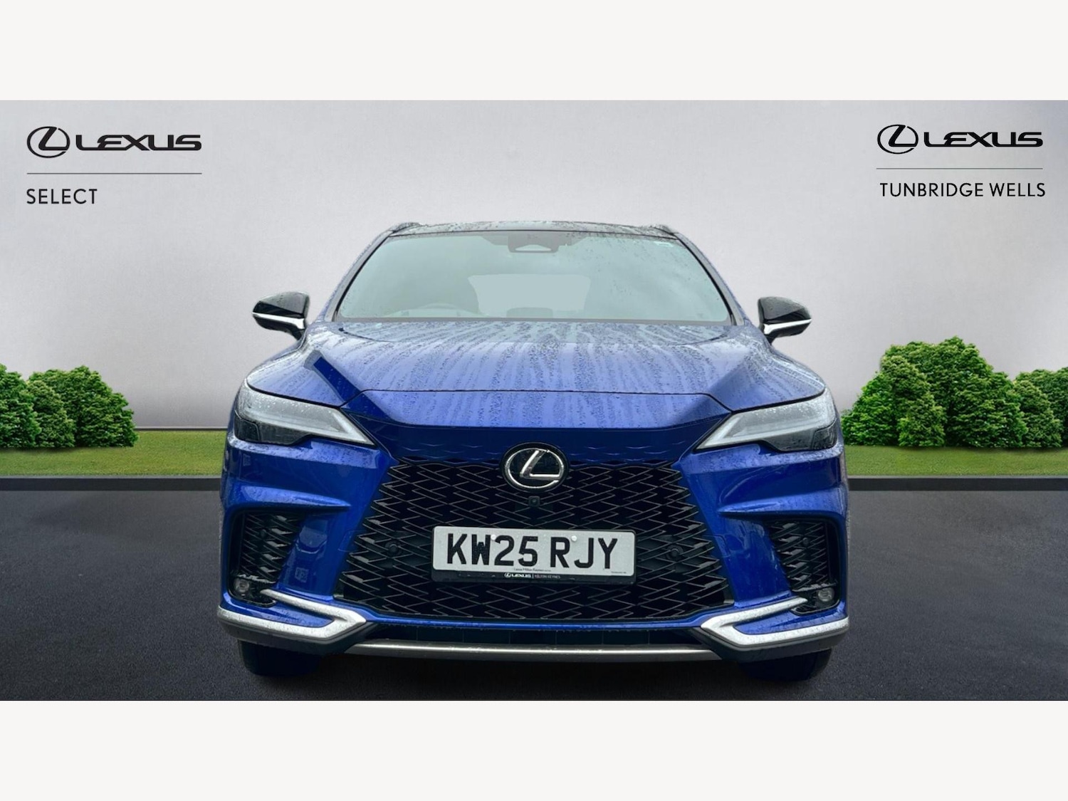 Used Lexus RX 2025 for sale - 77510807: Photo 6