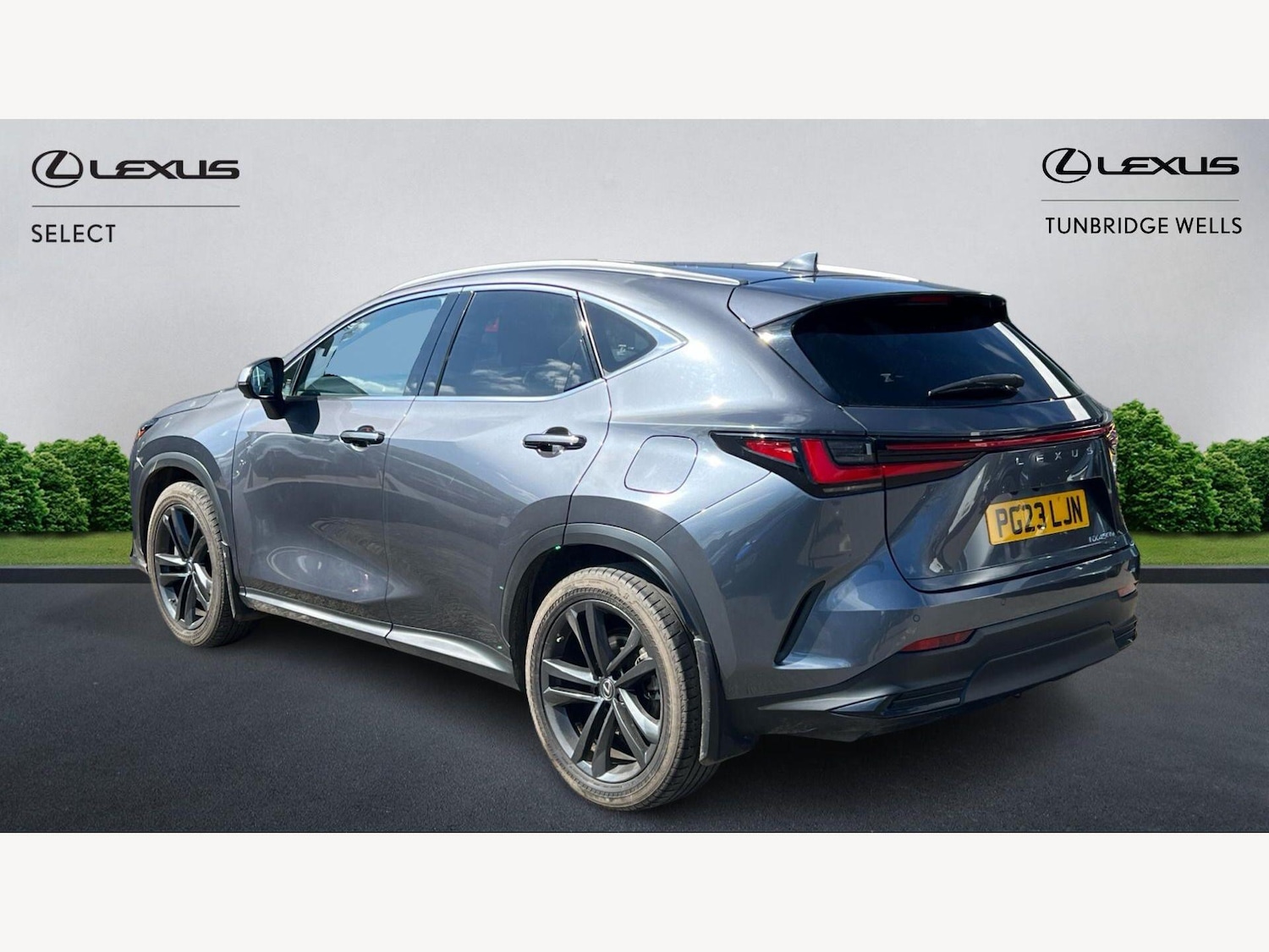 Used Lexus NX 2023 for sale - 78006862: Photo 2