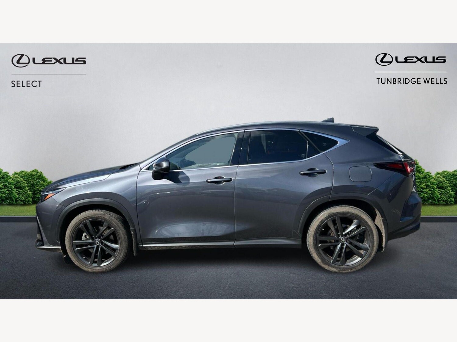Used Lexus NX 2023 for sale - 78006862: Photo 3