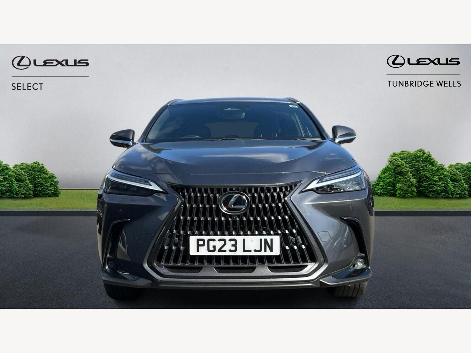 Used Lexus NX 2023 for sale - 78006862: Photo 6
