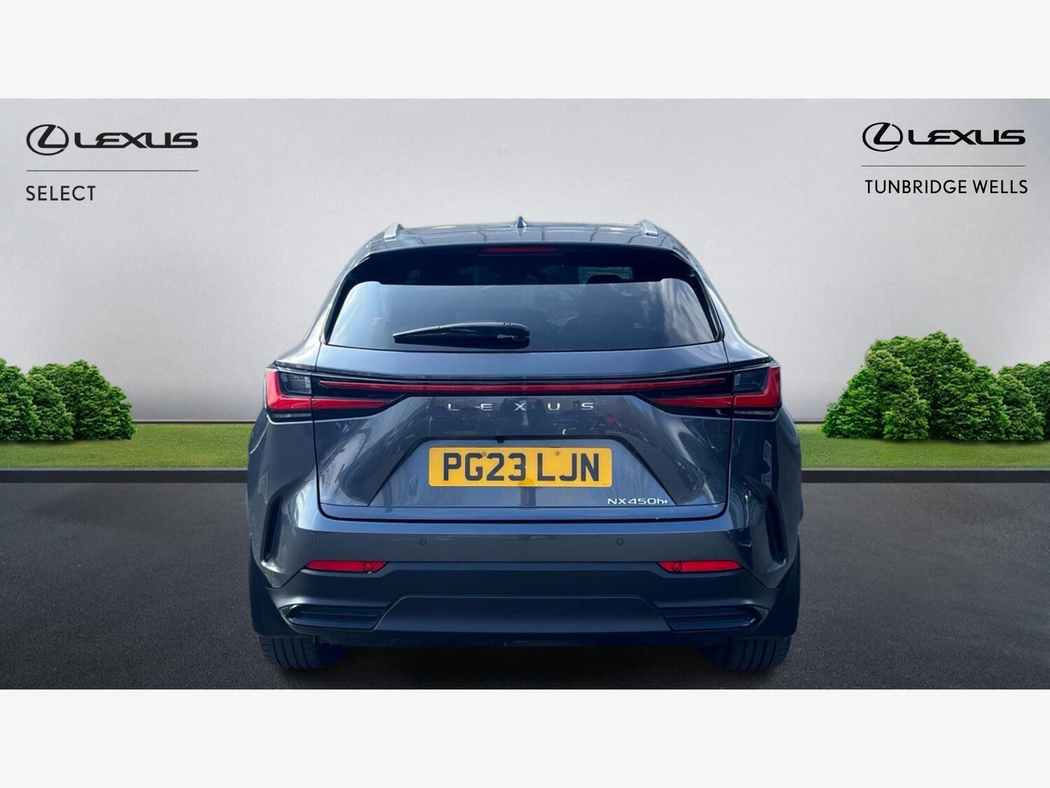 Used Lexus NX 2023 for sale - 78006862: Photo 7