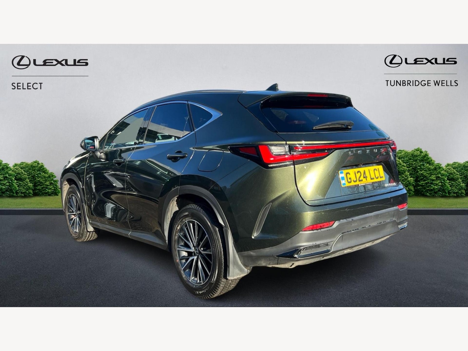 Used Lexus NX 2024 for sale - 77203642: Photo 2