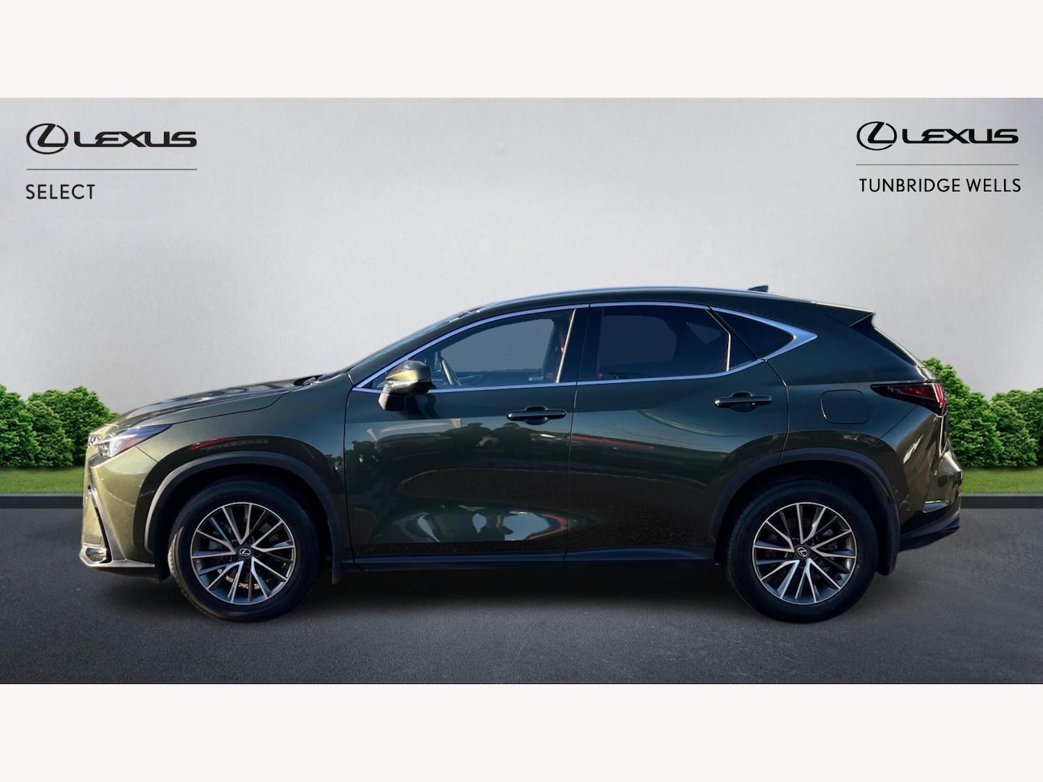 Used Lexus NX 2024 for sale - 77203642: Photo 3