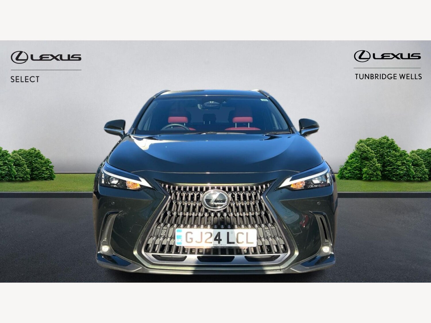 Used Lexus NX 2024 for sale - 77203642: Photo 6