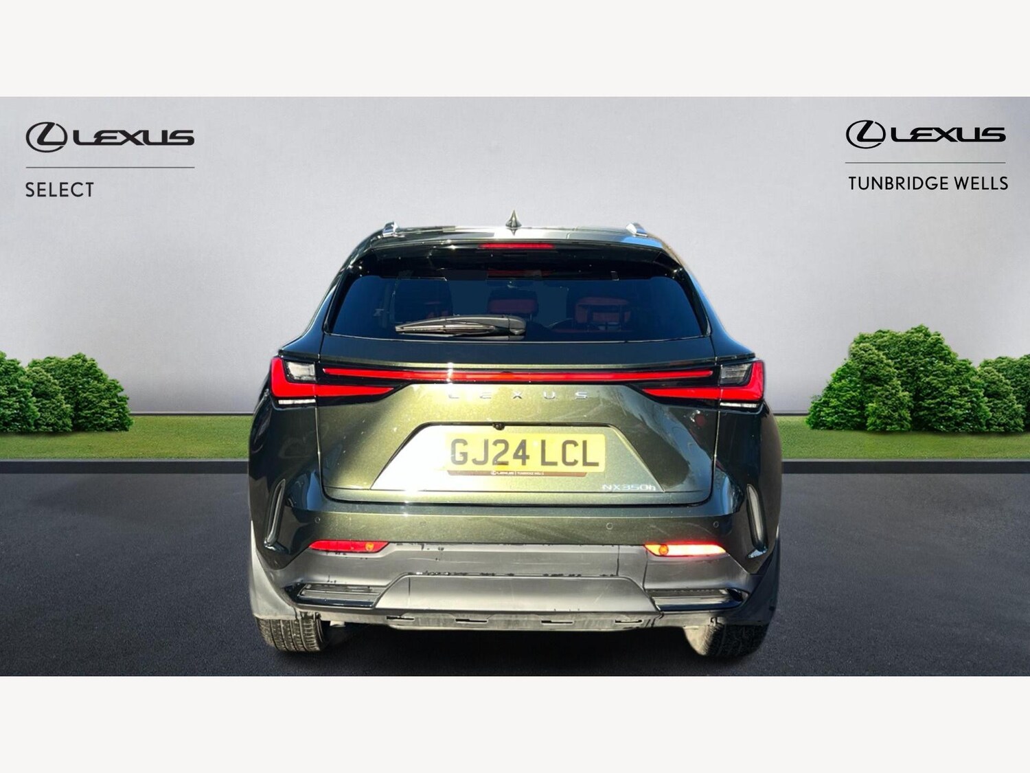 Used Lexus NX 2024 for sale - 77203642: Photo 7