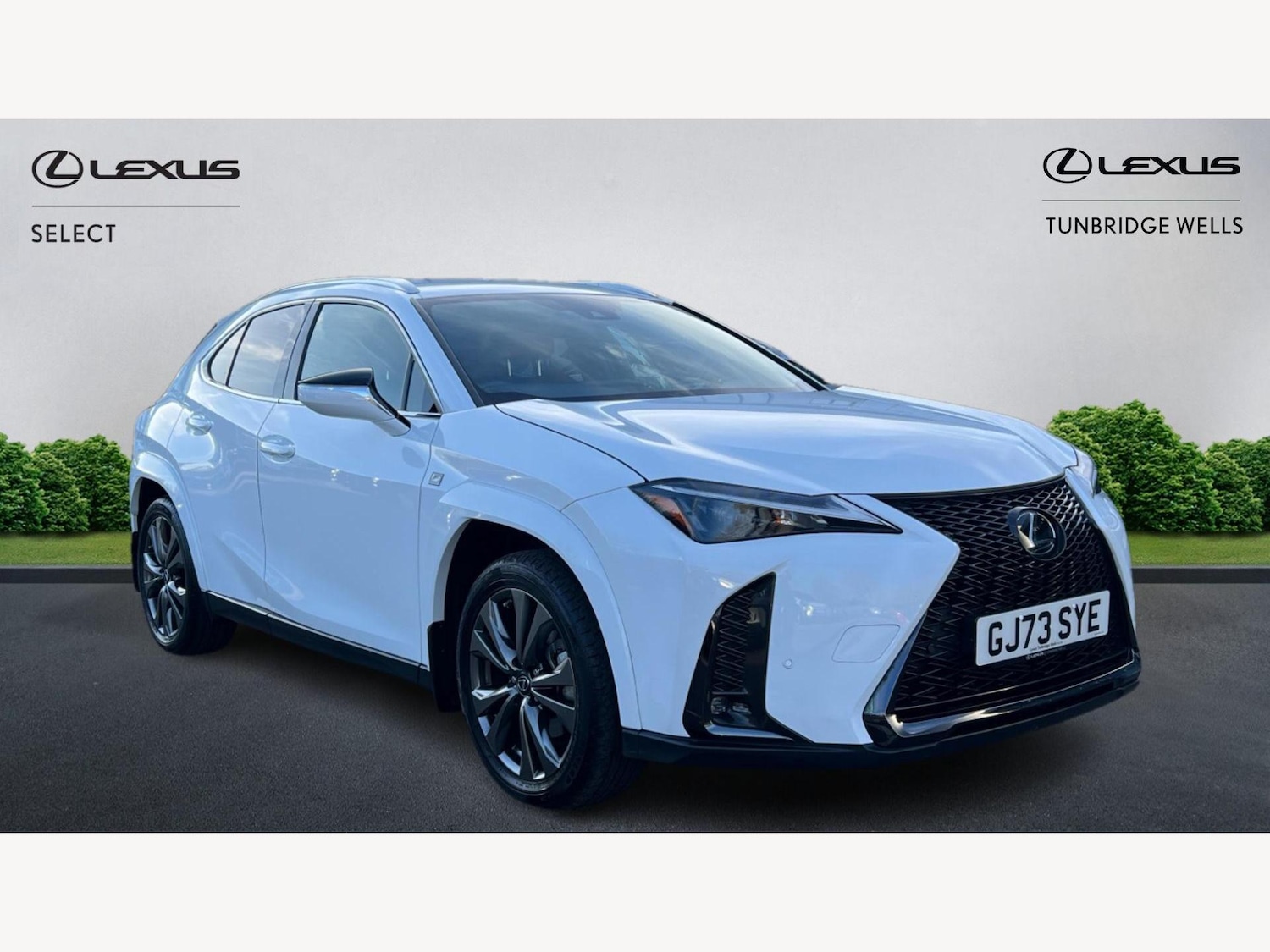 Used Lexus UX 2023 for sale - 76646221: Photo 1