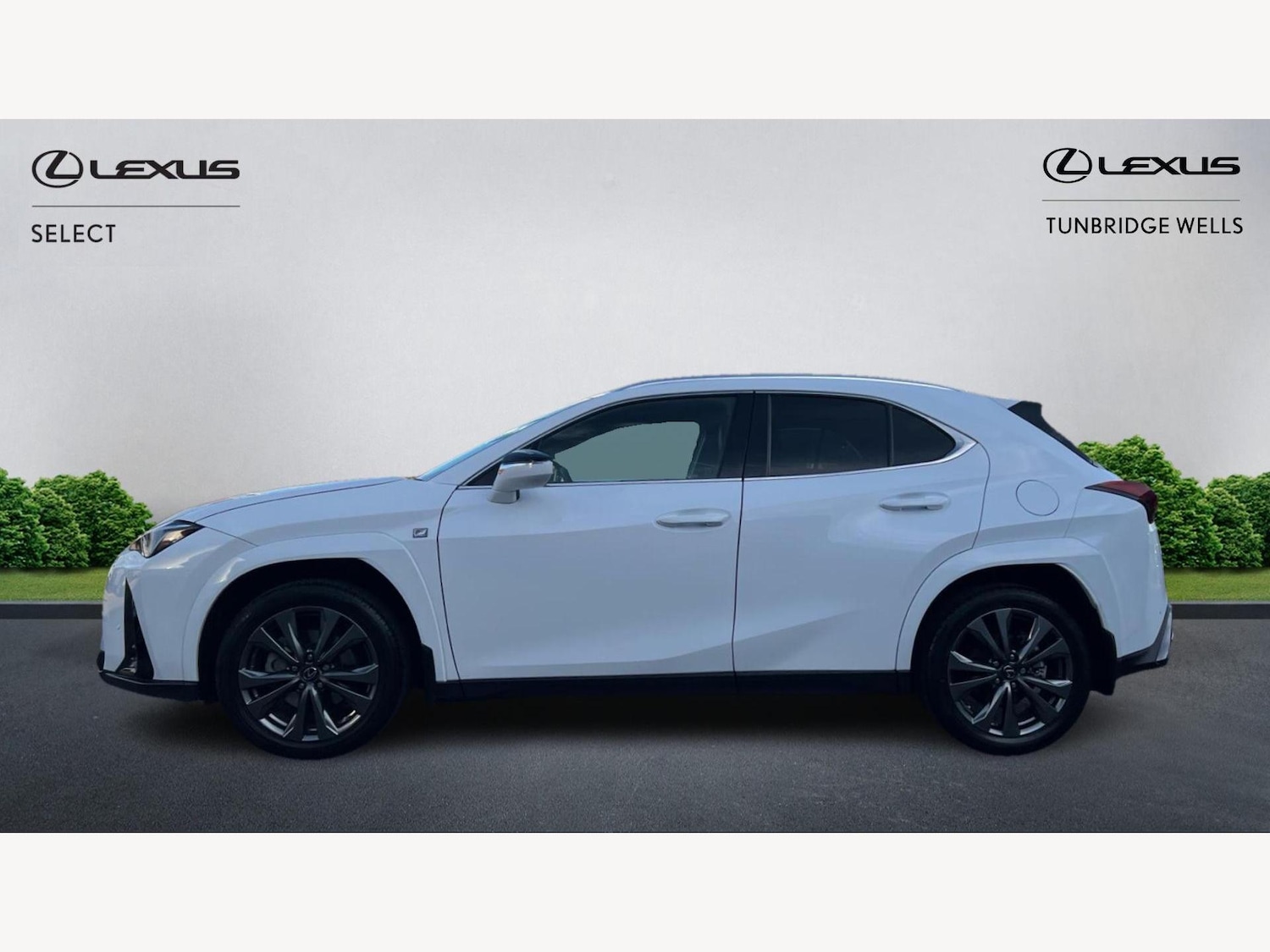 Used Lexus UX 2023 for sale - 76646221: Photo 3