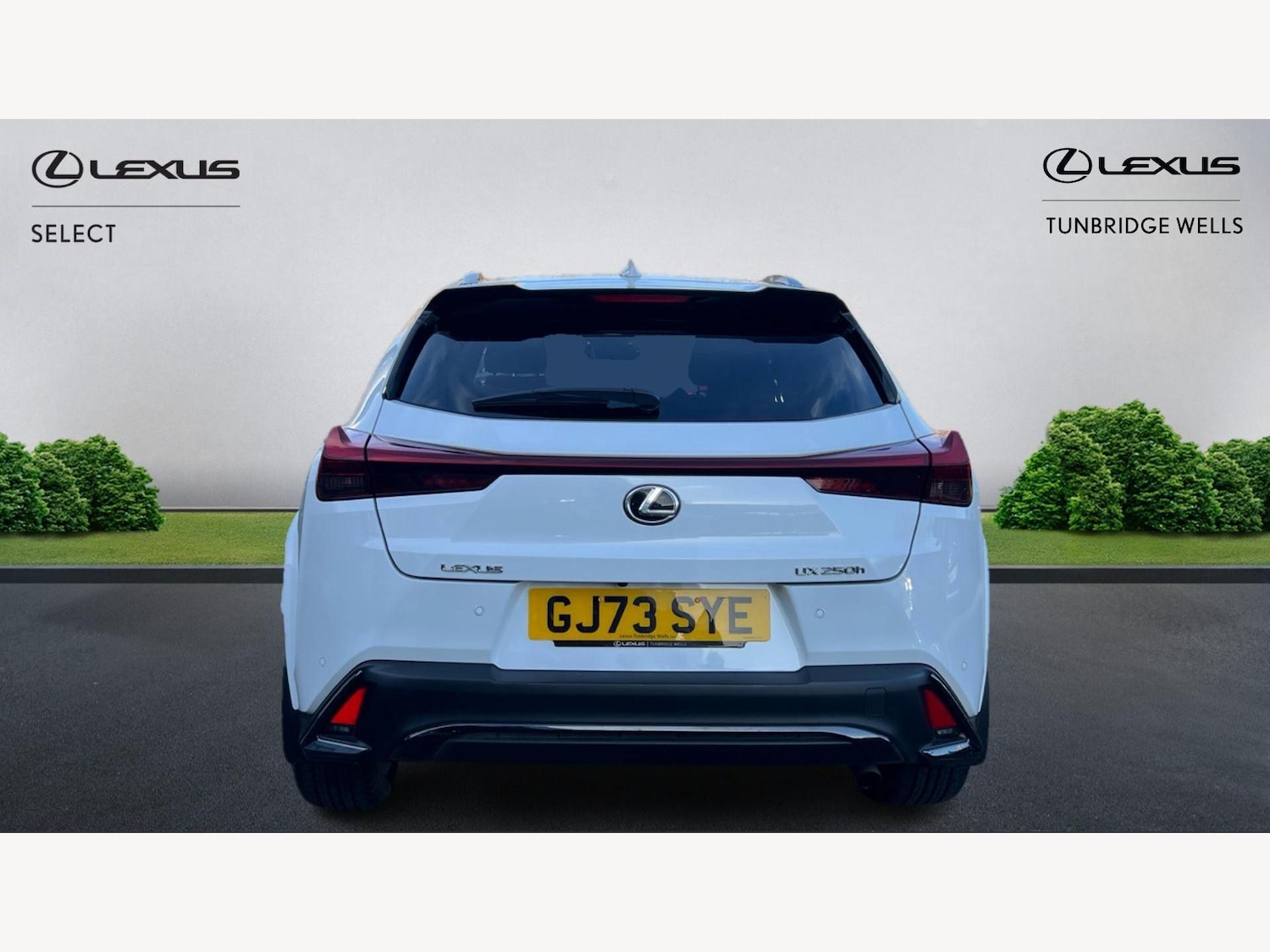 Used Lexus UX 2023 for sale - 76646221: Photo 7