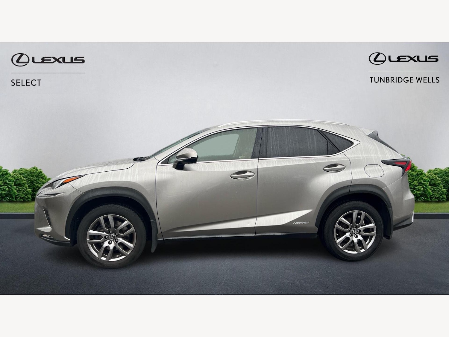 Used Lexus NX 2018 for sale - 77525101: Photo 3