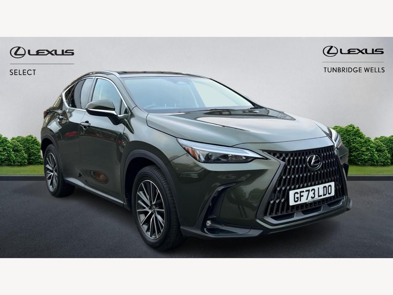 Used Lexus NX 2023 for sale - 77352054: Photo 1