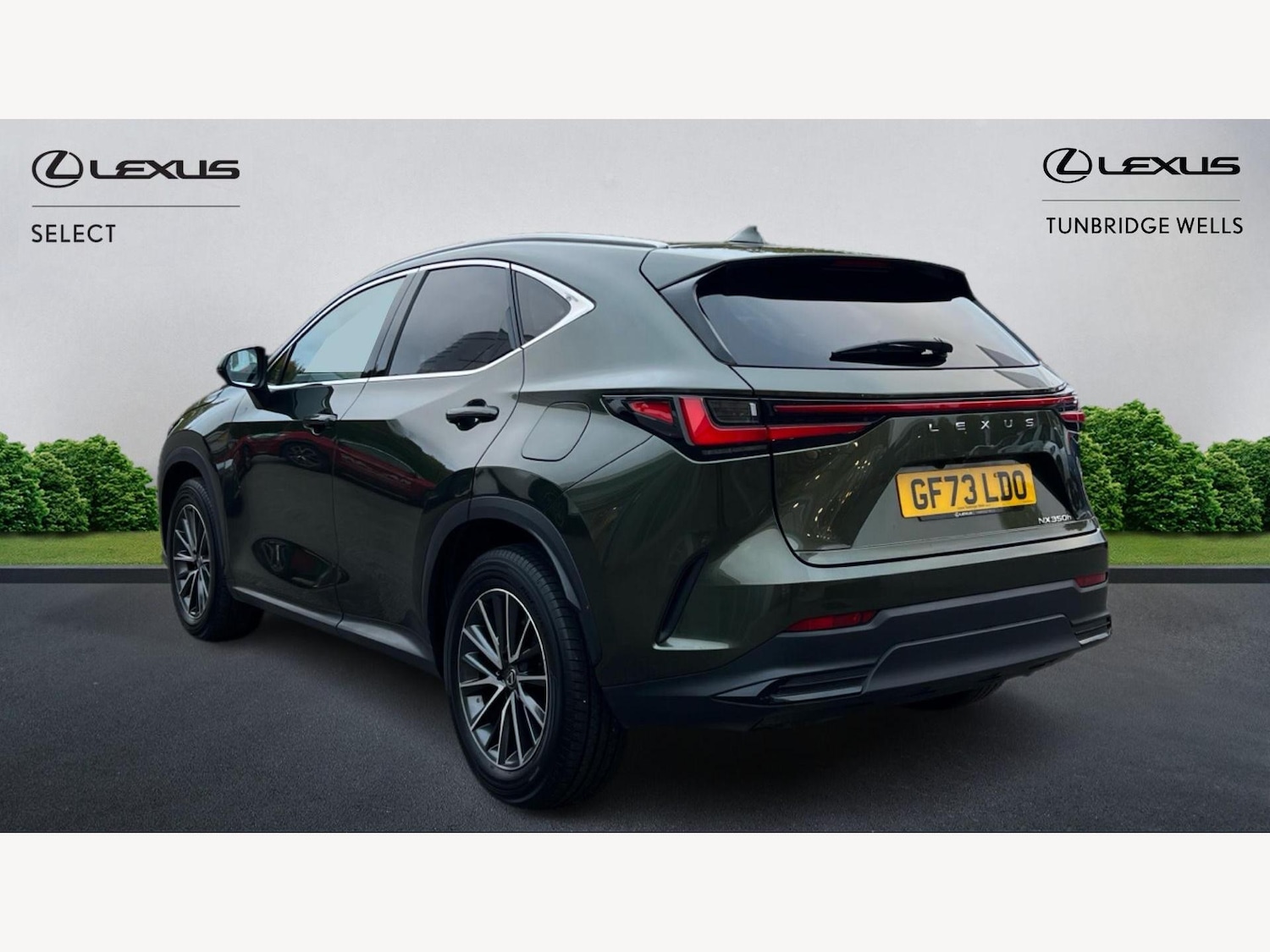 Used Lexus NX 2023 for sale - 77352054: Photo 2