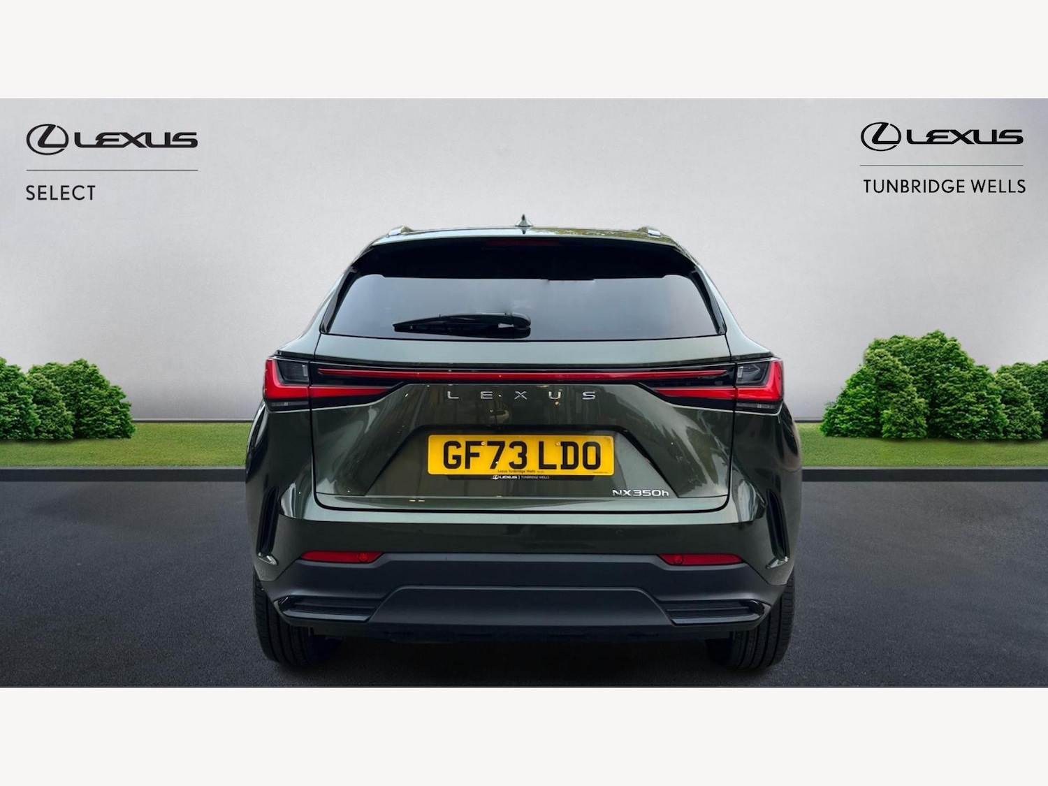 Used Lexus NX 2023 for sale - 77352054: Photo 7