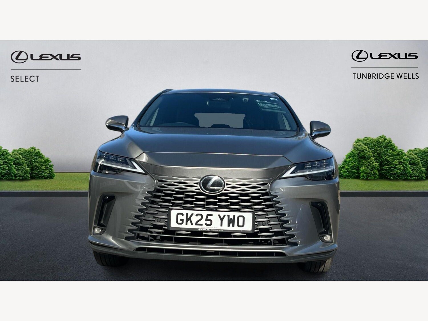 Used Lexus RX 2025 for sale - 77924823: Photo 6