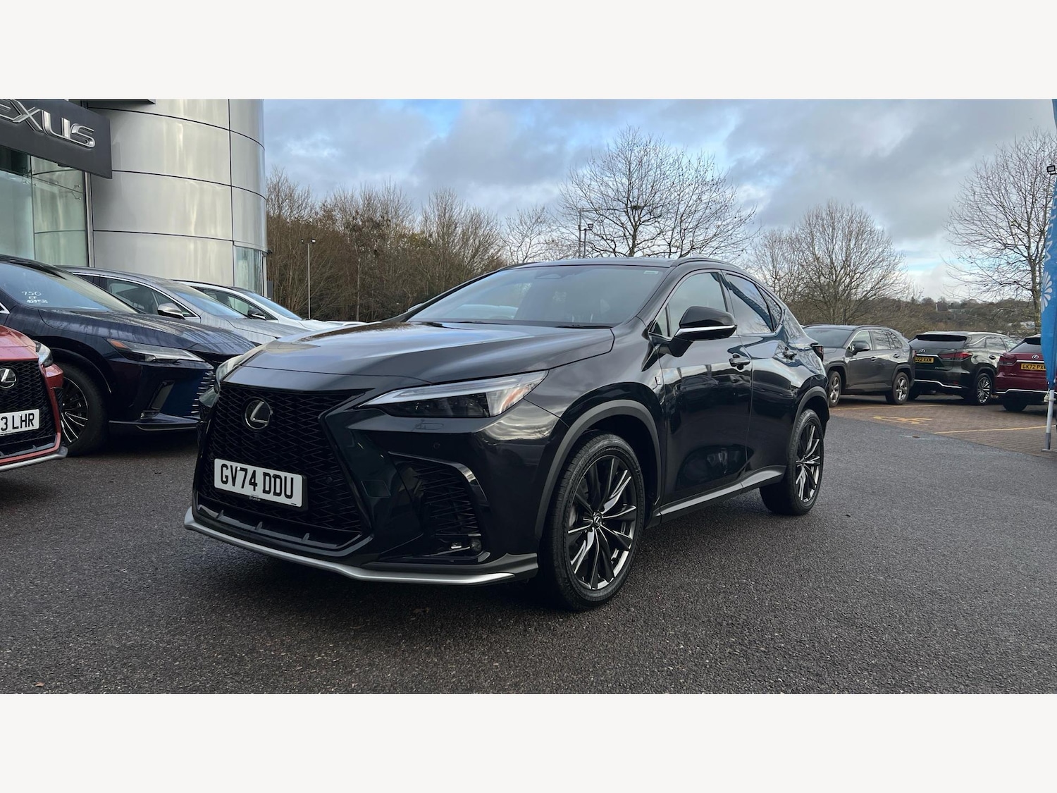 Used Lexus NX 2024 for sale - 76952589: Photo 19