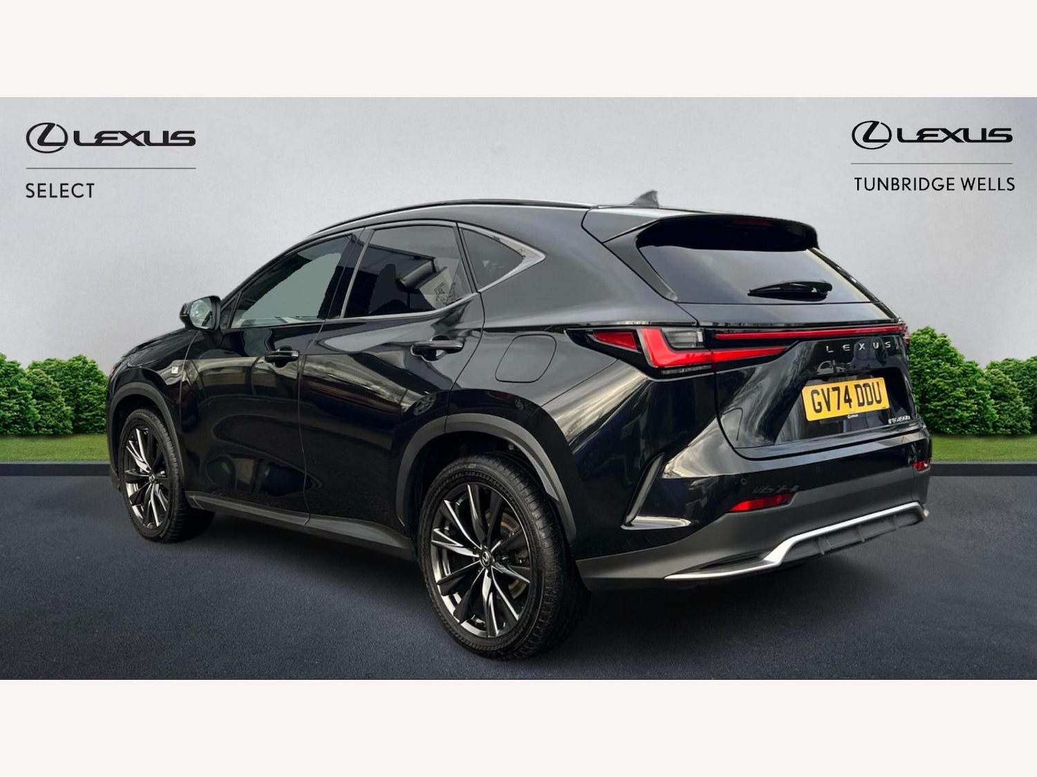 Used Lexus NX 2024 for sale - 76952589: Photo 2