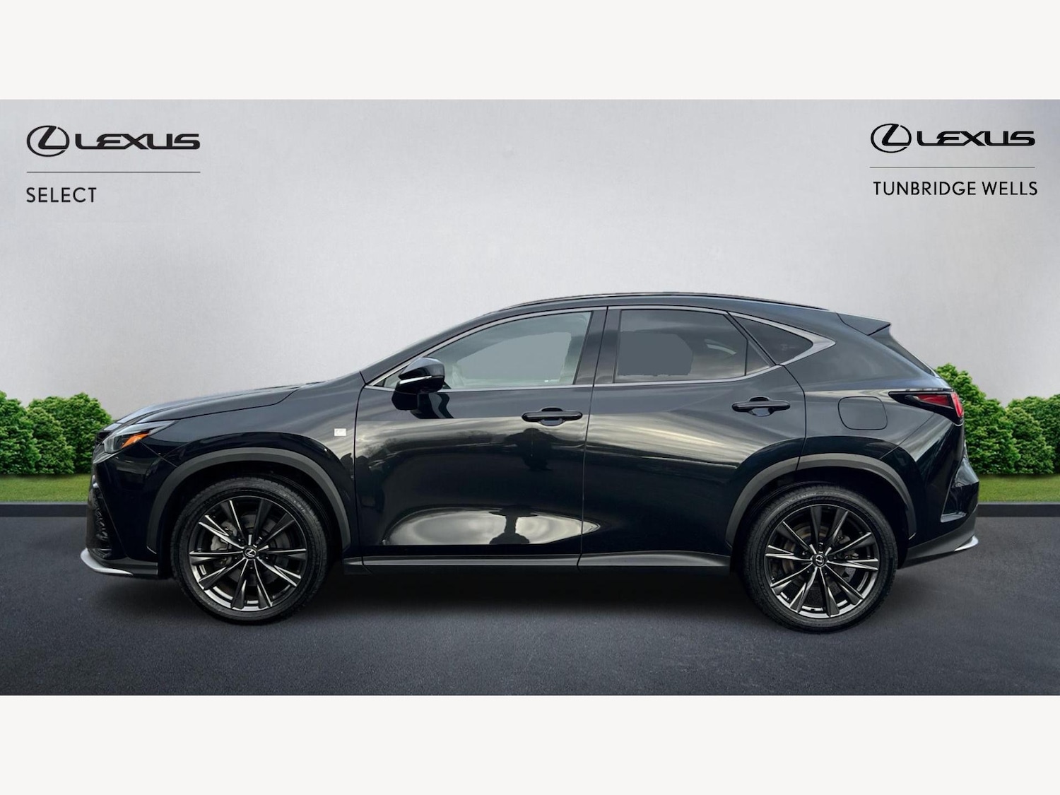 Used Lexus NX 2024 for sale - 76952589: Photo 3