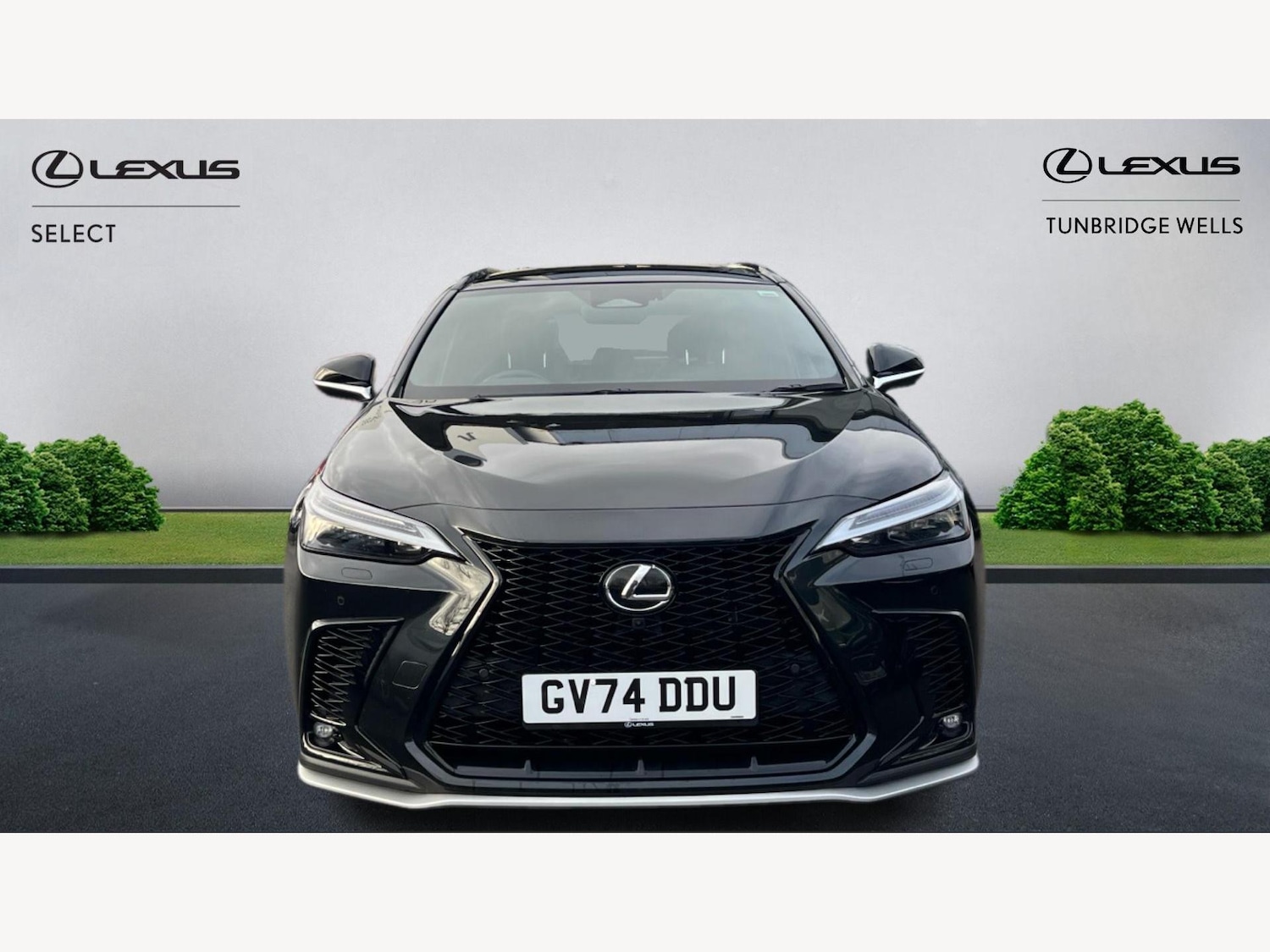 Used Lexus NX 2024 for sale - 76952589: Photo 6