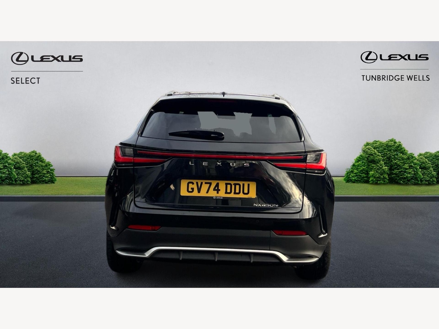 Used Lexus NX 2024 for sale - 76952589: Photo 7