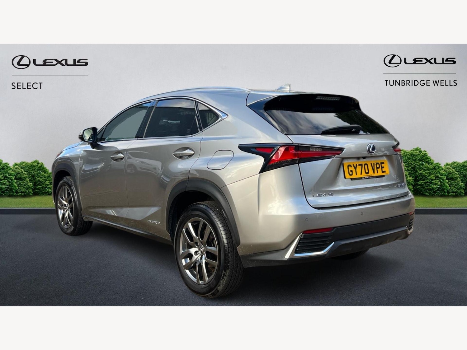 Used Lexus NX 2020 for sale - 77291966: Photo 2