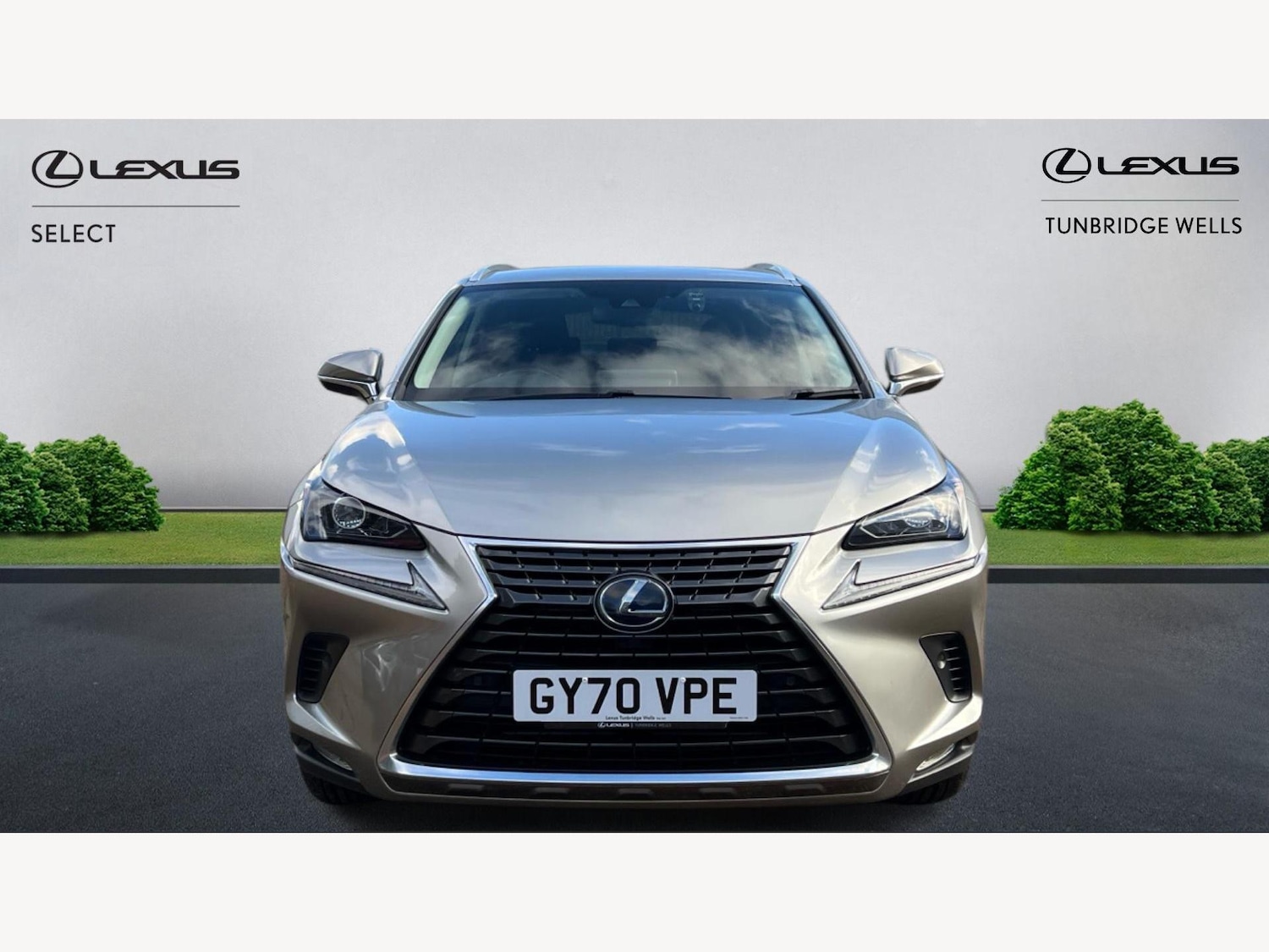 Used Lexus NX 2020 for sale - 77291966: Photo 6