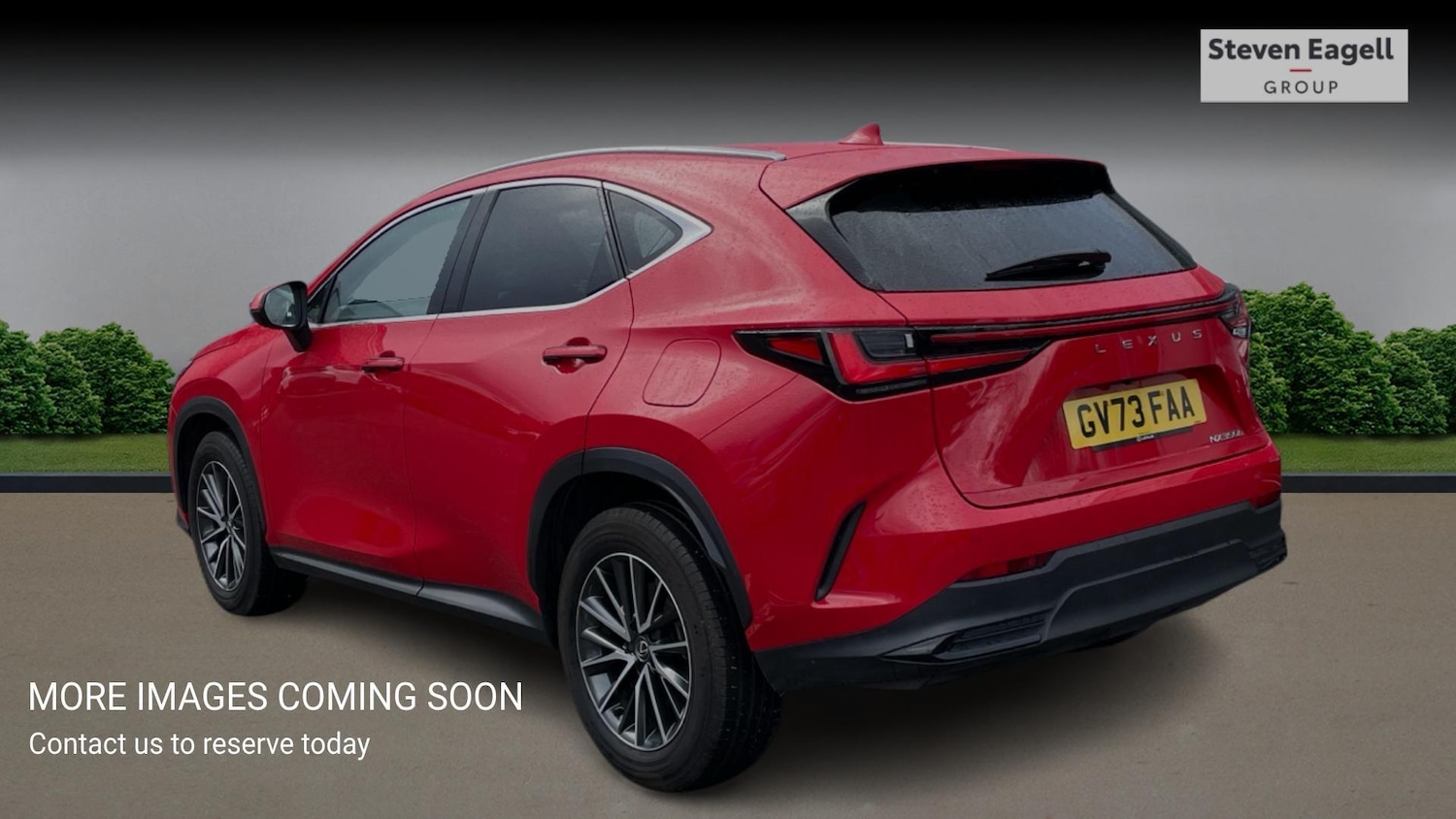Used Lexus NX for sale - 77612381: Photo 2