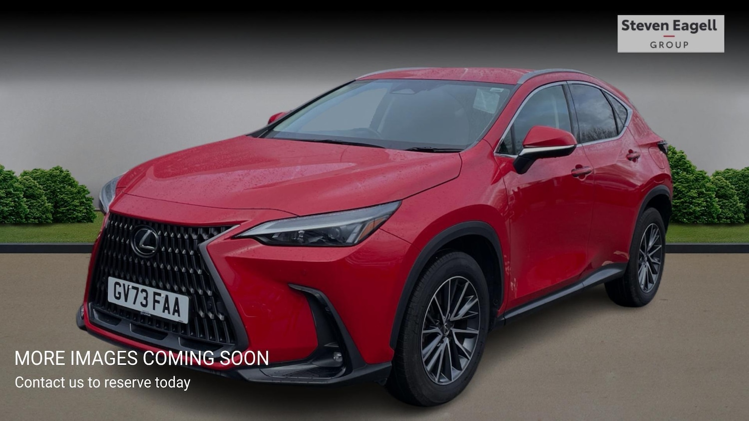 Used Lexus NX for sale - 77612381: Photo 3