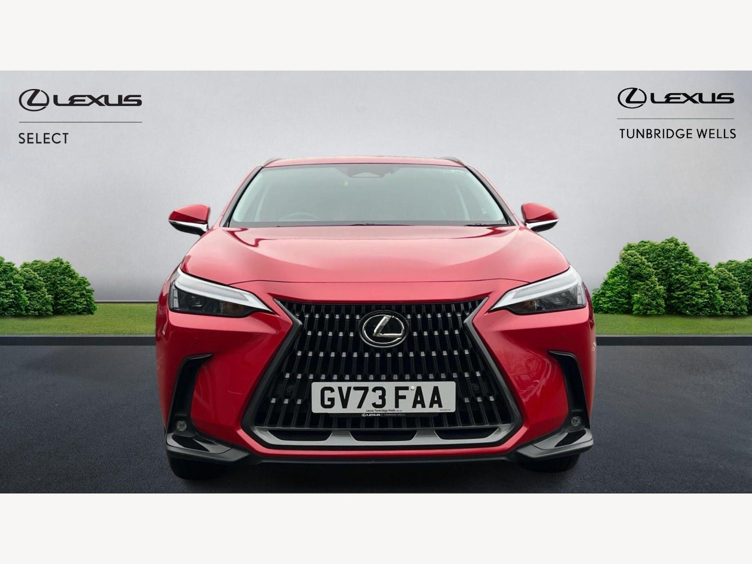 Used Lexus NX 2023 for sale - 77612381: Photo 6