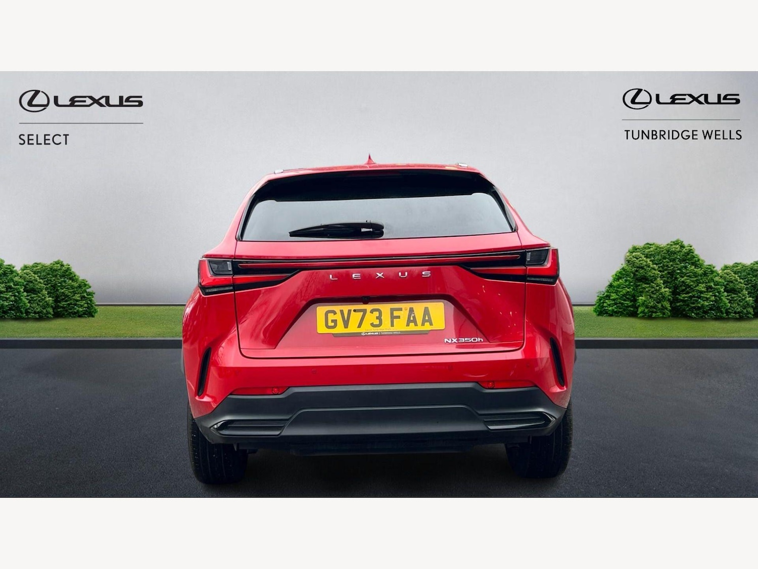 Used Lexus NX 2023 for sale - 77612381: Photo 7