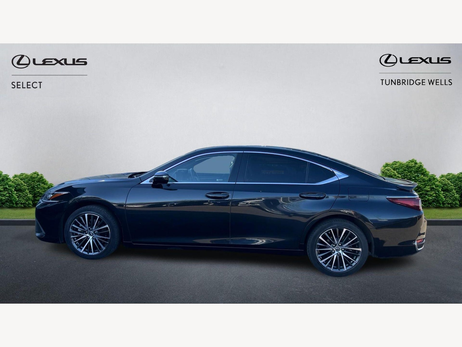 Used Lexus ES 2023 for sale - 78006835: Photo 3
