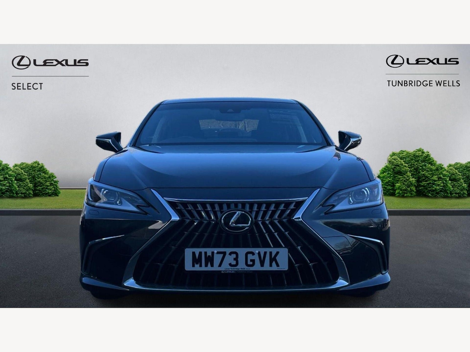 Used Lexus ES 2023 for sale - 78006835: Photo 6